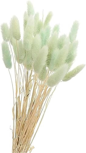 Pampasgras Trockenblumen 50 Stück Elegantes Pampasgras Deko Natürlich Blumenstrauß Flauschiges Getrocknete Blumen Herbst Boho Deko für Hochzeit Büro Schlafzimmer Wohnzimme (Himmelblau)