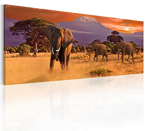 B&D XXL - Wandbilder XXL Afrika 120x40 cm 1 tlg - Wand Deko Vlies Leinwand Bilder Groß Wanddeko Wohnzimmer Schlafzimmer Kunstdrucke Panoramabild - Animals Elephant Savanne Landschaft