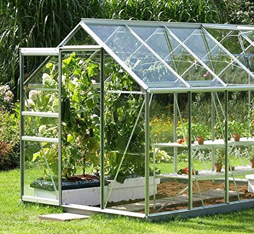Holland Plastics Original Brand 4 X Polycarbonate Serre VITRES/VITRAGE Sheets- 2mm d'épaisseur x 608 x 608 mm- Impact des Panneaux de Remplacement résistant.