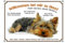 Petsigns Willkommen Yorkshire Terrier - Hundeschild - Lustiges Schild Meine Regeln, DIN A3