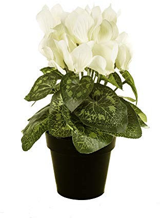 FloristryWarehouse Cespuglio di ciclamino bianco in finta seta, alto 25 cm