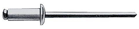 Gesipa Blindniete Alu/Stahl 6 x 20 Flachrundkopf mm, 250 Stück, (1454065) Blindniettechnik, Grau