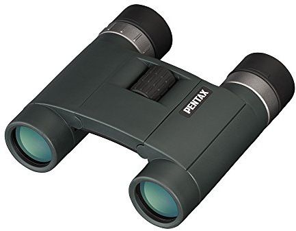 Pentax AD 10 x 25 WP dreieckig schwarz Kinderwagen – Fernglas (105 mm, 110 mm, 40 mm, 300 g)