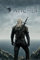 The Witcher - Teaser - Games Maxi Poster Druck Poster - Größe 61x91,5 cm