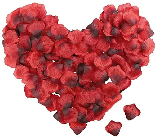 Quesuc Künstliche Rosenblätter, 1.000 Stück, romantische Dekoration für Hochzeit und Schlafzimmer – schöne Rosen für Ihn als Geburtstagsgeschenk – schöne Geburtstagsdekorationen, Rot