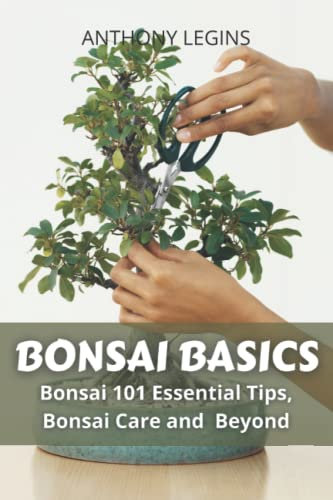 Bonsai Basics: Bonsai 101 Essential Tips, Bonsai Care and Beyond