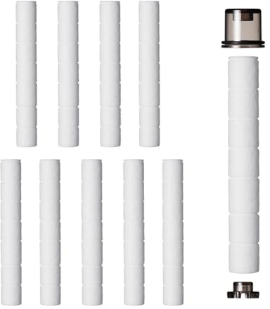 BODYLUV Pure Filter - Replacement Cartridge for Shower Head (10EA, 10, Count)