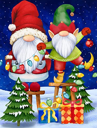 RICUVED Weihnachten Diamond Painting Set,5D Diamant Painting Bilder Erwachsene Zwerg Diamond Painting Kinder, Full Drill Diamond Art Diamant Malerei Bilder Diamond Painting für Home Dekor 30x40cm