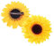 Beavorty Sonnenblumen-Haarspange : Wunderschöne Haarnadel Mit Sonnenblumen-design Für Frauen Ladys Und Mädchen Party-foto-session