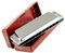 Mundharmonika 10 Löcher Tonart C SILBER Mit Koffer Blues Harp Edelstahl(C)