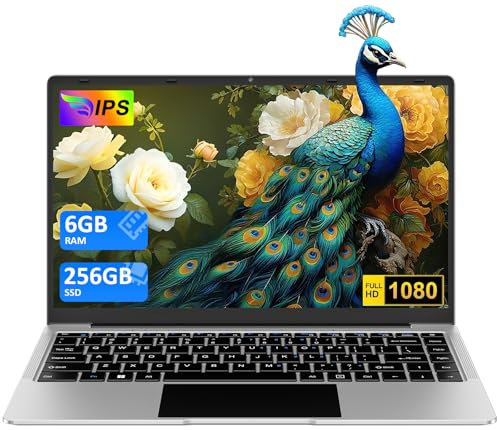PC Portatile 14 Win 11 Notebook 256 GB ROM Supporta l'espansione SSD 1TB 8GB RAM 2.4G+5G WiFi 1080 FHD BT4.2 USB HDMI con mouse senza fili & adesivi per tastiera Italiana-Silver-FXJ