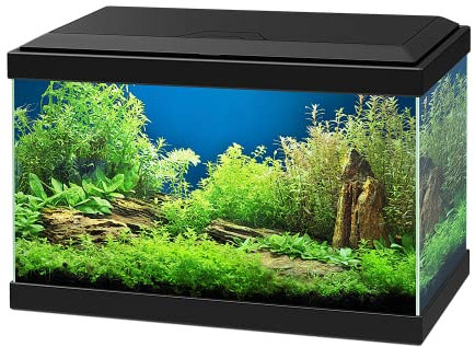 Askoll - Acuario con sistema de iluminación LED y filtro Aqua 20, negro, 40 x 20 x 31 cm, 17 litros