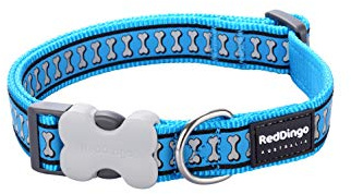Red Dingo Bucklebone Dog Collar Reflective Bones, Turquoise, Large 25mm