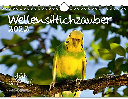 Wellensittichzauber DIN A4 Kalender für 2022 Wellensittiche - Seelenzauber