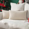 MIULEE Kissenbezüge Kordsamt Kissenbezug Zierkissenbezug Dekokissen Sofakissen Kord 2er Set Kissenhülle Dekorative Zierkissenbezüge Kissen für Sofa Couch Zuhause Wohnzimmer 40x60 cm Beige
