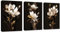 3 Pcs Leinwandbilder Bilder mit Rahmen Schwarz Gold Pfingstrose Blumen bild auf leinwand Wandkunst Wandbilder Kunstdruck Deko für Wohnzimmer Schlafzimmer fertig zum Aufhängen 120x60cm(40x60x3)