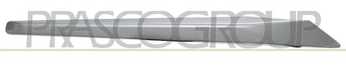 Prasco BM0281223 Protective Strips