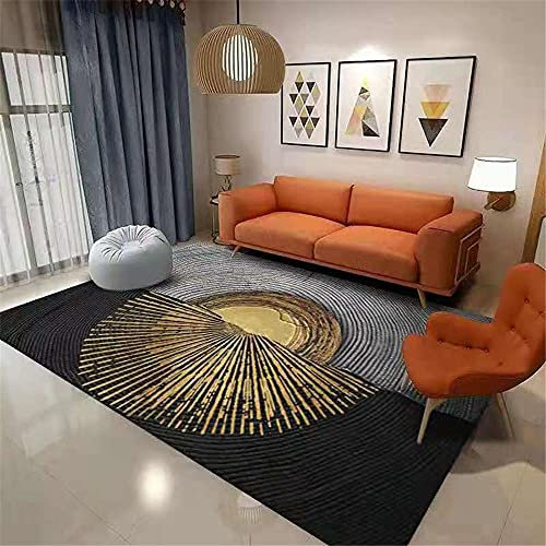 joop Teppich Grau Wohnzimmer Teppichgrau Ray Runder Muster Salon Teppich Anti-Slip Teppich für esszimmer 60X90CM Teppich kinderzimmer 1ft 11.6''X2ft 11.4''