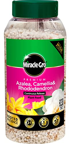 900g Premium Plant Feed for Azaleas, Camellias, Rhododendrons, Roses & Orchids - High-Performance Blend for Vibrant Flowers and Healthy Growth