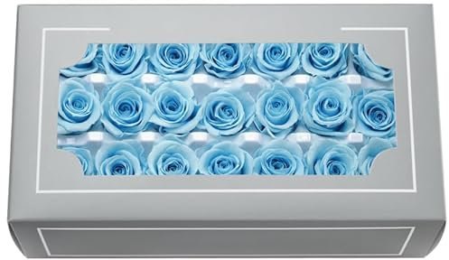 Konservierter Rosenkopf der Güteklasse A, 2–3 cm, hochwertige, natürliche, ewige echte Rosen, unsterbliche Rose, hält 3 bis 5 Jahre, für Mütter, Valentinstag, Geburtstag, Hochzeit, Zuhause,