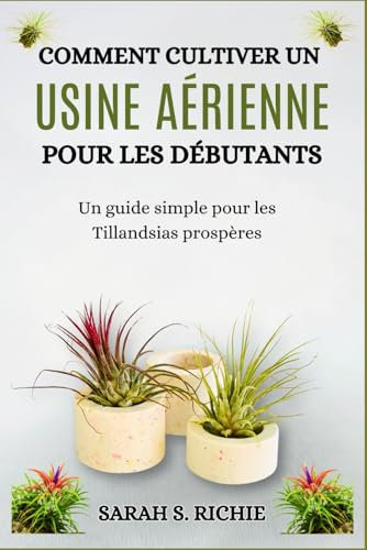 COMMENT CULTIVER UN USINE AÉRIENNE POUR LES DÉBUTANTS: Un guide simple pour les Tillandsias prospères