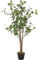 ML-Design Eucalyptus Artificiel 120 cm Décoratif, Plante Verte Grande avec Tronc en Bois Naturel, Fausse Plante en Pot, Déco Aspect Naturel, Arbre pour Intérieur/Extérieur Chambre Balcon Salon Bureau