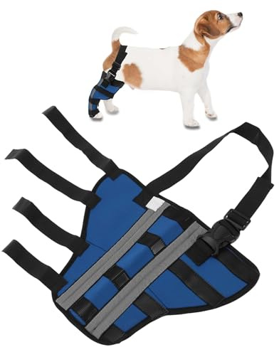 CAPASTEC Kniepolster Für Hunde Blau 1 Stück Genesung Nach OP SBR | Atmungsaktiv, 3 Hakenverschlüsse, 360° Unterstützung, Bein 22-25 Cm, Gelenk 13-16 Cm, Fuß 10-14 Cm, Höhe 20 Cm, Hinterbein