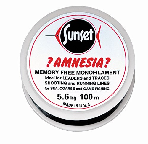 Jenzi Amnesia Leader Vorfach Schwarz 12lbs 100m