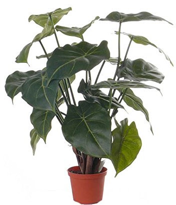 Künstliche Purpurtute Syngonium mit 20 Blätter, Höhe von 45cm im Topf - Tropische Kunstpflanze Zimmerpflanze immergrün