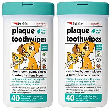 Petkin Cat and Dog Dental Wipes, 80 Wipes (Fresh Mint) - Natural Formula Cleans Teeth, Gums & Freshens Breath - for Daily Use - Convenient Dog Dental Care - 2 Packs of 40 Wipes (80 Wipes Total)