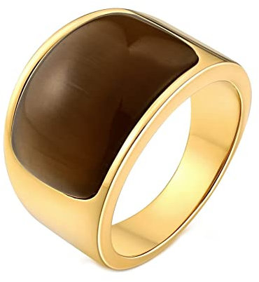 Dsnyu Ringe für Herren, Siegelring Halbbogen Opal, Edelstahl Ringe Braun Klassik Schmuck, Größe 57 (18.1)