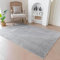 Evitany Teppich Schlafzimmer,Kurzflor Teppich Wohnzimmer,Großer 160x230 Bettvorleger Teppiche, Antirutsch Tepich Quadratisch, Waschbare Teppiche,Grau Tepich für Esszimmer, Büro (Grau/160x230cm)