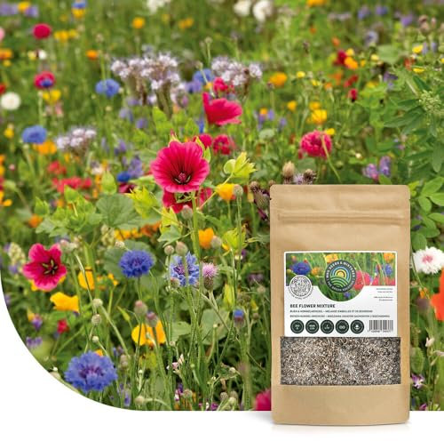 Mélange de fleurs pour prairie d’abeilles - 50 g pour 25 m² - Graines de fleurs multicolores annuelles et vivaces - Source naturelle de nourriture pour abeilles, bourdons et papillons