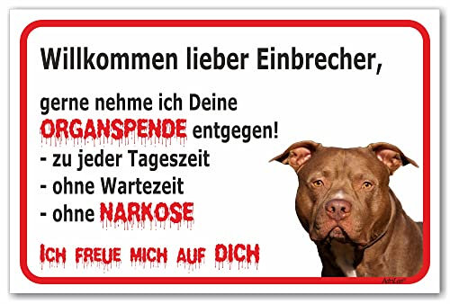 AdriLeo Schild - Vorsicht American Staffordshire Terrier - Willkommen lieber Einbrecher - (20x30cm) / Achtung Hund Wachhund Kampfhund robust langlebig UV-beständig wetterfestes Warnschild