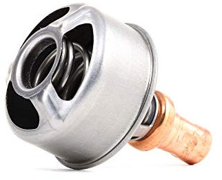 Calorstat TH4495.86 Thermostat d'eau