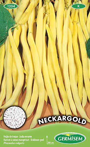 Germisem Neckargold Semi di Fagiolo Rampicante 100 g