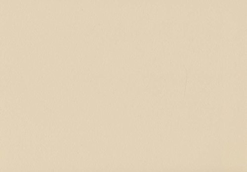 Volvox Espressivo Lehmfarbe Bunttöne 1 PGB 2,5 Liter | 20 m² (café au lait | 003)