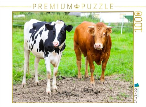 CALVENDO Puzzle Limousin-Bulle Silas mit Frau | 1000 Teile Lege-Größe 64 x 48 cm Foto-Puzzle für glückliche Stunden