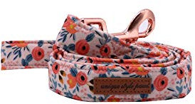 Unique Style Paws Hundehalsband Fliege Halsband Verstellbare Halsbänder oder Hundeleinen für Hunde und Katzen Klein Mittelgroß Groß