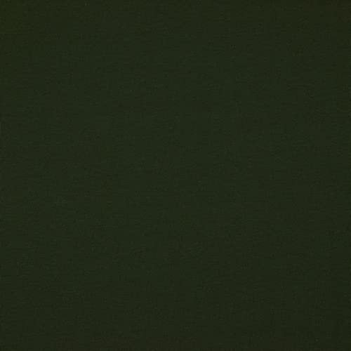 Hans-Textil-Shop Stoff Meterware Uni Jersey - 1 Meter, Schadstoffgeprüft, Jerseystoff, Deko, Kleidung, Shirts, Röcke, Leggings (Dark Forest Grün)