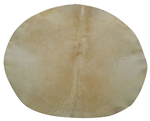 Djembe Drum Head Natural Goat Skins Marching Snare Drums Skin, Irish Bodhran, Banjo, Native Frame Drums, Conga, African Drums, Percussion Drumhead Calf Skin (Natural Skin 30,5 cm)