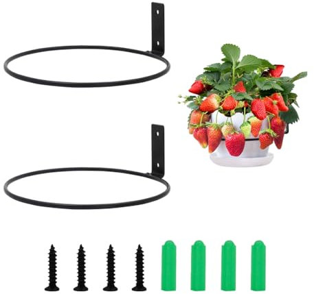 2Pcs Flower Pot Holder, Ring Wall Mounted Plant Hook Hanging Plant Stand Ring Hooks Metal Plant Bracket for Outdoor Indoor Garden Home Decoration Fence Balcony (8 Inch)