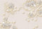 wandmotiv24 Fototapete 3D Effekt Blumen Ornamente Gold, XL 350 x 245 cm - 7 Teile, Wanddeko, Wandbild, Wandtapete, Abstrakt Blüten M6098