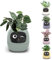 Pot de Plante Intelligent, Pots de Fleurs intelligents AI pour Plusieurs Expressions, puces AI 7 capteurs intelligents, écran LCD, contrôle par Application, jardinière de Jardin pour la Maison Olive