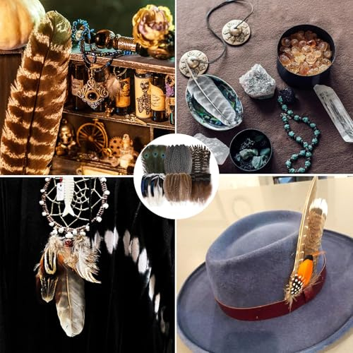 BelleVive 48 Stück Naturfedern in Großpackung – 6 Stile, 48 Stück Verschiedene Naturfedern, Pfauenfedern, Fasanenfedern, Truthahnfedern zum Basteln, Selbermachen, Schmuck, Hut, Hochzeit, Karneval