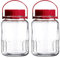 NCPSAKD 3l/0.75gal,Glasgefäß mit Deckel und Henkel, Weithalsverschluss, 2er Set