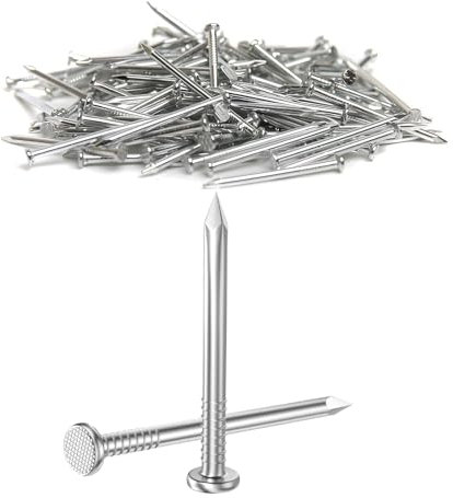 Dayalo Lot de 100 clous en acier inoxydable de 20 mm pour tableau, travail du bois, brique pour une utilisation sur brique, plâtre et bois
