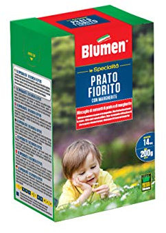 Prato Fiorito con Margherite Blumen 200gr