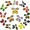 15 Pcs Wind up Butterflies for Cards Magic Flying Butterfly Paper Rubber Band Butterfly Wind up Butterflies for Card Insert Surprise Gift for Box Explosion(Mixed Color Style)