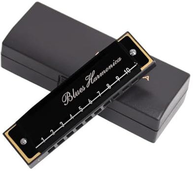 Mundharmonika C-Tonart 10 Löcher Mundharmonika Maultrommel Professionelle Musikinstrumente Mit Etui(Black)